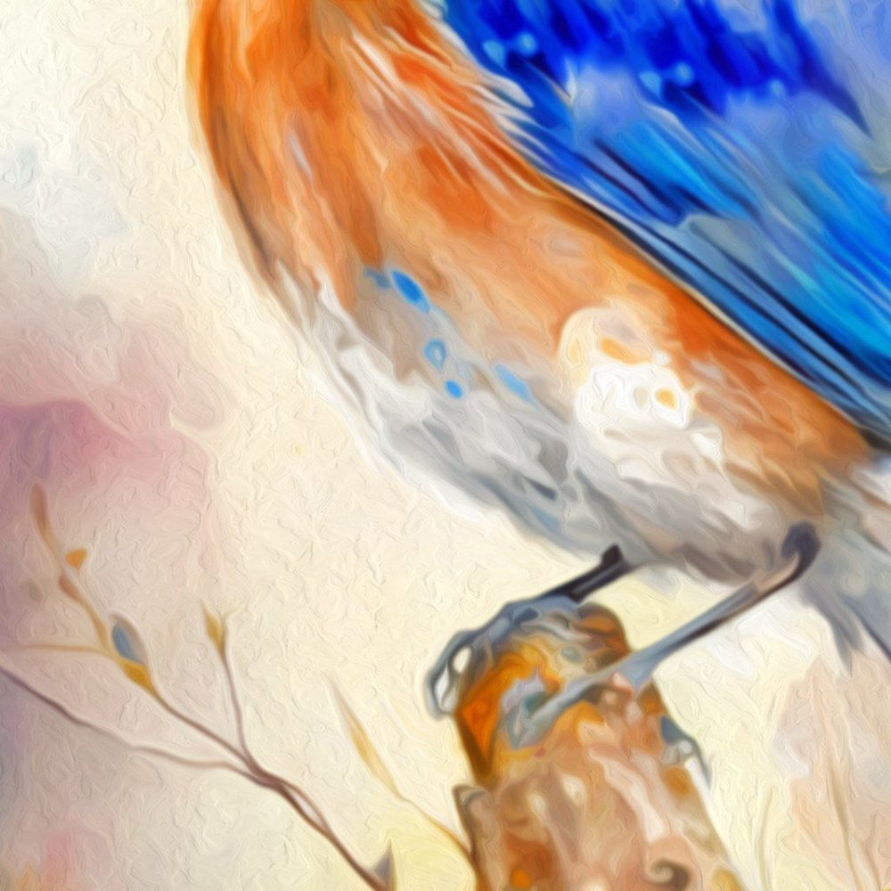 4x6 Eastern Bluebird Watercolor Oil Painting Art Print - Picture 4 of 6